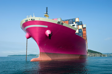 Container ship standing on the roads at anchor.