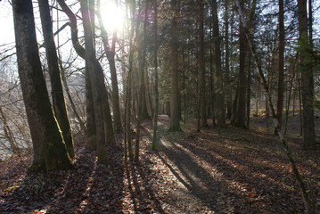 Fototapeta premium SONY DSC