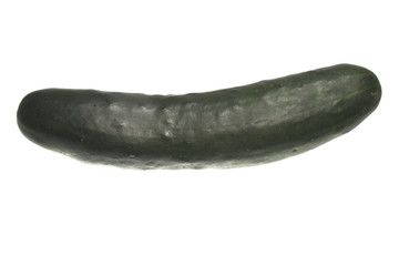 cucumber isolated on white background