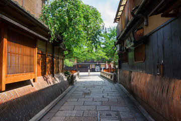 京都　祇園白川　夏
