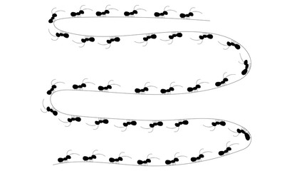 formica, formiche, lavoro, lavorare