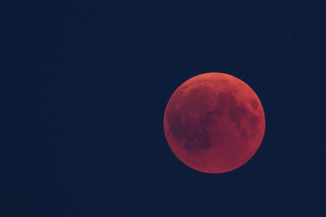 Naklejka na ściany i meble Total lunar eclipse on July 27, 2018, photographed from the palatinate forest in Germany.