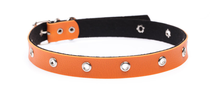 Orange Leather Dog Collar Isolated On White Background