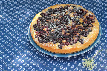 blueberry cake on a blue tablecloth