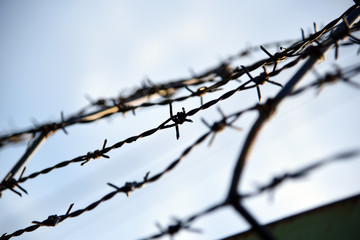 Barbed wire. Barbed wire on fence with blue sky to feel worrying.