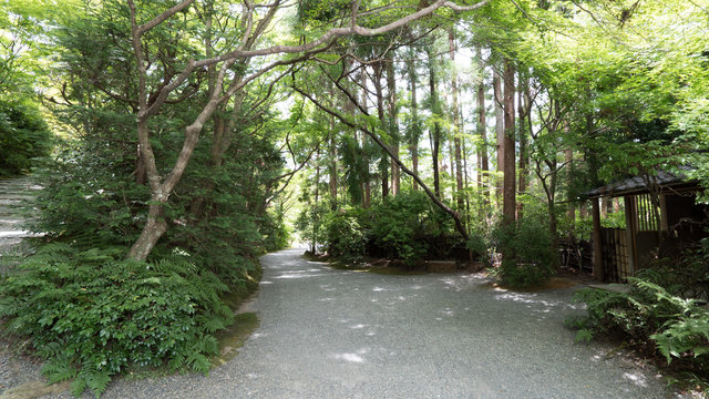 21 Best 京都府立保津峡自然公園 Images Stock Photos Vectors Adobe Stock