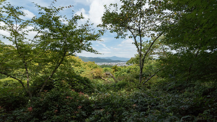 Fototapeta na wymiar 京都嵐山 (Kyoto Arashiyama)