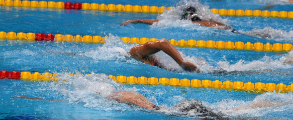 Girls compete in swimming pool. Women swimming freestyle. Swimmer in swimming pool.