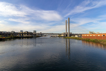 SR 509 Cable-Stayed Bridge in Tacoma Washington