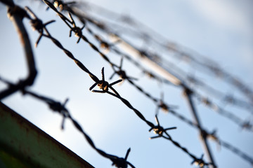 Barbed wire. Barbed wire on fence with blue sky to feel worrying.