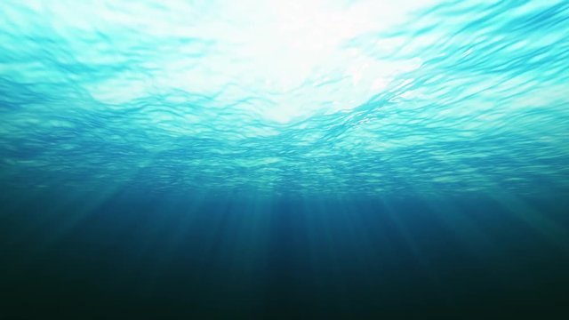 Ocean Background Seen From Underwater/
Animation of a 4k ocean surface texture from underwater view with sunrays and shimmering effect