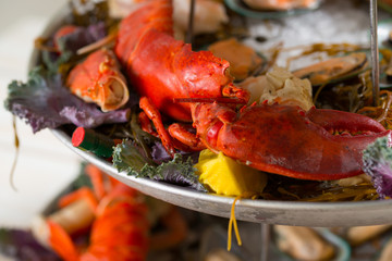 Close up shot of asssorted seafood on a platter