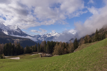 View over snowy alps with a green meadow in foreground and snowy alps in background