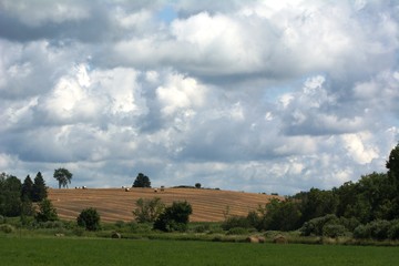 Rural Landscapes