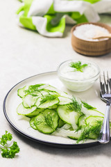 Summer healthy cucumber and fennel salad with yogurt dressing. Selective focus, space for text.