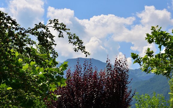 SturaBilder StockFotos & Videos. Adobe Stock