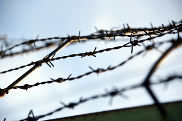 Fototapeta na wymiar Barbed wire. Barbed wire on fence with blue sky to feel worrying.