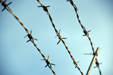 Barbed wire. Barbed wire on fence with blue sky to feel worrying.