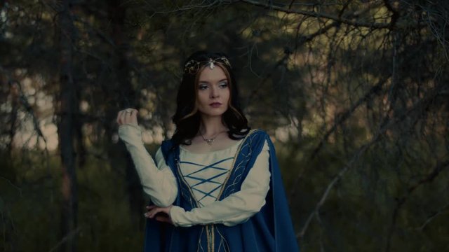 Brunette woman is dressed like medieval queen is standing in a forest. She is looking calmly and touching her hair