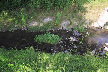 Ooser Landgraben, Fluß durch Sandweier, einem Ortsteil von Baden-Baden, mit Niedrig Wasser und ausgedrocknetem Flußßbett