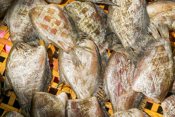 Snakeskin gourami Fish dried in market