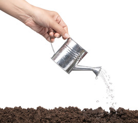 hand pouring from  aluminuim watering can isolated on a white background. © cloud7days