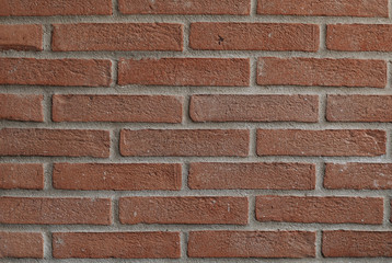 wall of red bricks. place for text