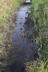 Ooser Landgraben, Fluß durch Sandweier, einem Ortsteil von Baden-Baden, mit Niedrig Wasser und ausgedrocknetem Flußßbett