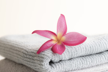 Obraz na płótnie Canvas Pink Leaf Wreath on the towel