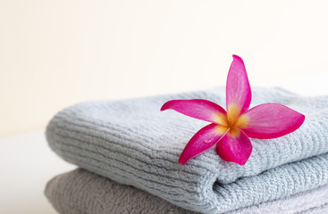 Obraz na płótnie Canvas Pink Leaf Wreath lay on the towel