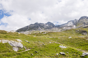 Fototapeta na wymiar Flüela, Flüelapass, Alpen, Passhöhe, Passstrasse, Wanderweg, Graubünden, Sommer, Schweiz