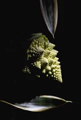 Foto op Plexiglas Roman cauliflower © Nancy