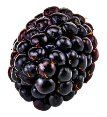 Blackberry isolated on white background clipping path