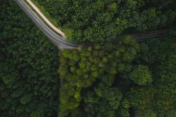 A 90 degree turning road in the forest