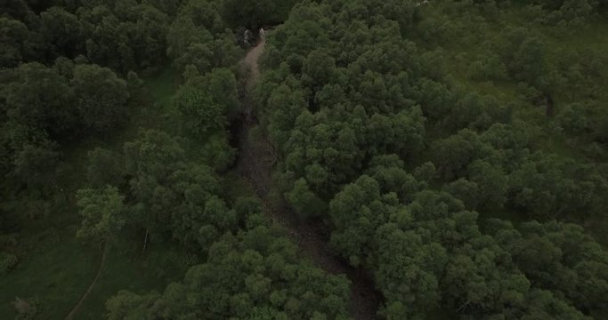 4K Drone footage tilt down on river sourounded by green forest in Norway, sunnmore orsta.