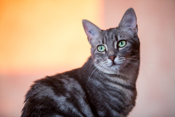 Maeva Photos Images Assets Adobe Stock