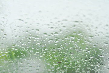 rain or dew drop on window