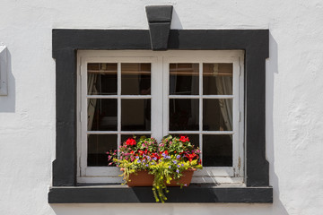 Fototapeta na wymiar Small window box with beautiful flowers outside a black framed window