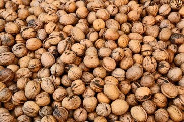 A lot of walnuts (Juglans regia) or German name is Walnüsse in the market.
Healthy and benefit of walnut.