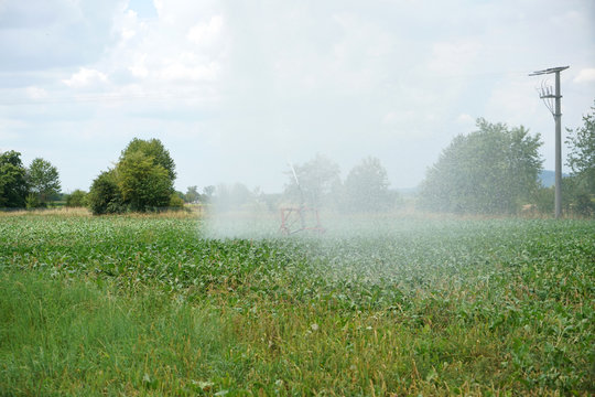 On particularly hot summer days, the fields in Germany must be irrigated in addition.
