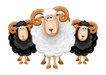 Obraz premium Kreskówka zestaw owiec