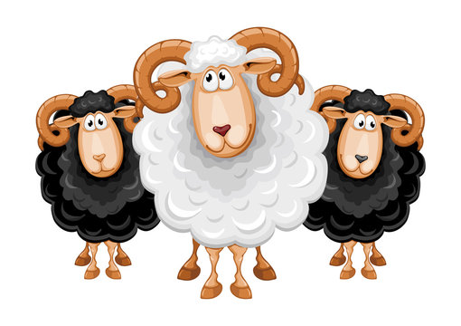 Cartoon sheep set