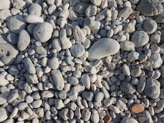 rocks pebbles from the sea white red for background