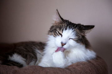 Maeva Photos Images Assets Adobe Stock