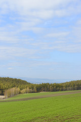 Fototapeta premium 秋の美瑛