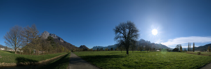 Floor of the Swiss Rhine valley near Sargans, showing Gonten, Falknis and backlit pear tree