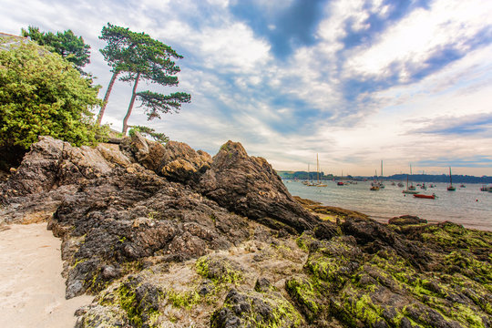Beach, stones and trees in Saint Malo, France