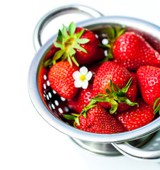 Strawberries in Strainer