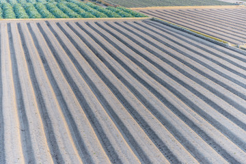 Campo preparado para el cultivo