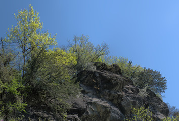 Outcrop over Berschis and Spring foliage